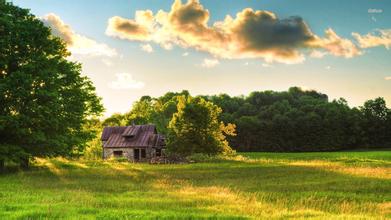 中華人民共和國農業部公告第1335號