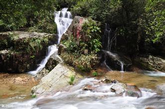 配方師是“四師”，潘博士主講報道