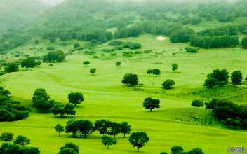 如何控制飼料的加工質(zhì)量
