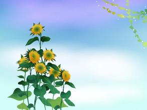 第三屆配方師研習班開通銀卡會員報名專帖