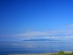  避免酶貯飼料的二次發酵