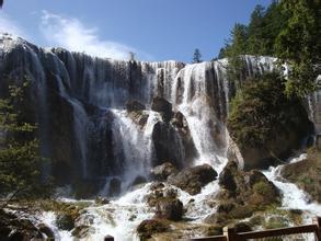 中華人民共和國農業(yè)部公告第1306號