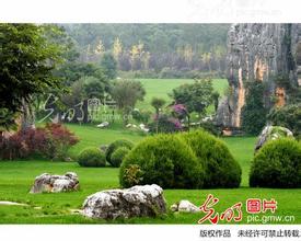 圓環繼發豬瘟混合寄生蟲