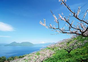 2009年飼料工業形勢數據統計