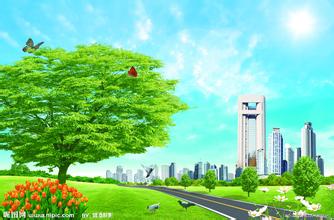 飼料企業如何進行出口食用動物飼用飼料備案