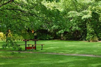 王繼華教授：仔豬飼料評價標準的嚴重誤區
