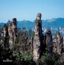 飼料中添加抗生素的作用
