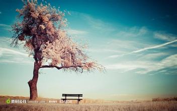 中華人民共和國農業部公告第1224號