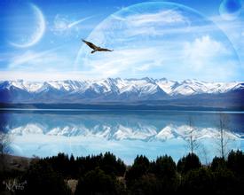 飼料的顏色是不是越黃越好？