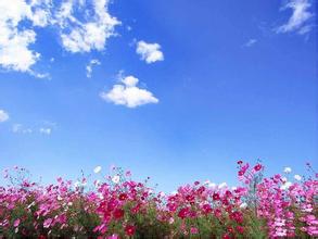 敕勒川國際動物疫苗創新大會盛大開幕 —“科技引領未來 共享同一健康”