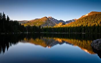 仔豬水腫病與飼料營養(yǎng)的關系