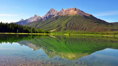 我國養豬建設中存在的問題及建議