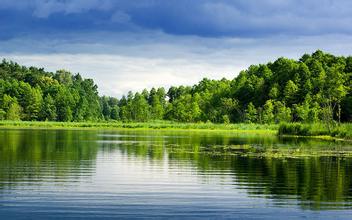 豬口蹄疫臨床及病理圖片