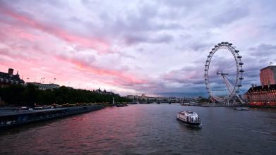 農(nóng)業(yè)部辦公廳關(guān)于2009年下半年全國飼料質(zhì)量安全監(jiān)測結(jié)果的通報