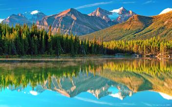 敕勒川國際動物疫苗創新大會盛大開幕 —“科技引領未來 共享同一健康”