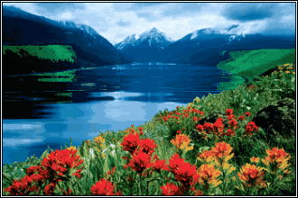 歷屆飼料商業配方師現場錄影光盤正式對外郵售