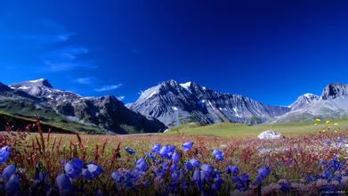 新飼料添加劑低聚木糖國家標準發布實施