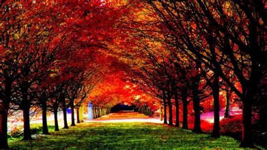 對第五屆青島飼料商業(yè)配方師會議點(diǎn)評