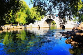 歐洲生豬生產中減少抗生素使用的替代措施