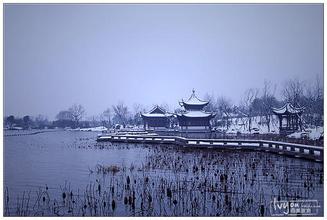 飼料企業該如何提高產品質量穩定性