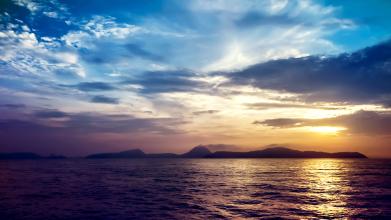 飼料行業5年-10年的趨勢分析