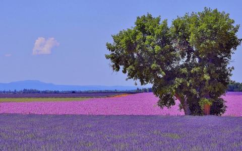 從生產角度分析產品不合格的原因