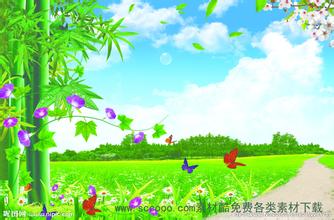 為什么飼養肉鴨要采用階段飼養法?