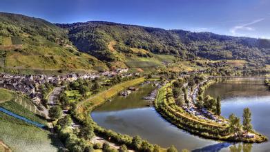 2010年第二期獸藥GMP飛行檢查結果的通報