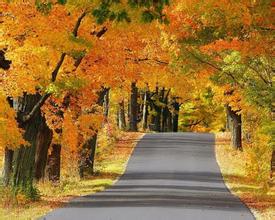 淺析中小飼料企業營銷現狀