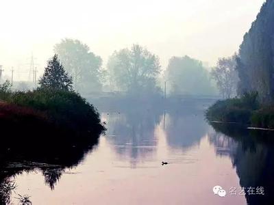 飼料水分沒控制好，年損失可達(dá)百萬！