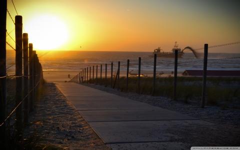 未來飼料添加劑發展方向