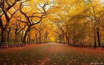 濟南學習之---困惑---戰略篇