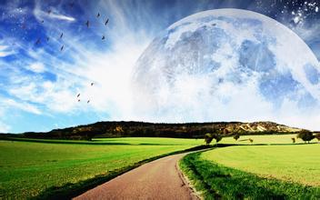  飼料生產(chǎn)工藝中引起霉變的重要因素