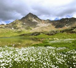 教保料膨化玉米的篩選與品控