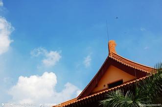 飼料企業(yè)該如何面對新形勢