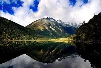巧調雞飼料，雞味似土雞