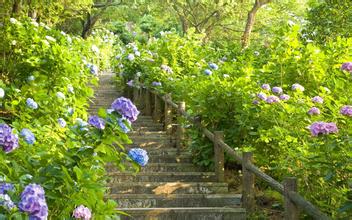 提高顆粒飼料產品水分探析