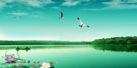 制粒機的使用和維護保養