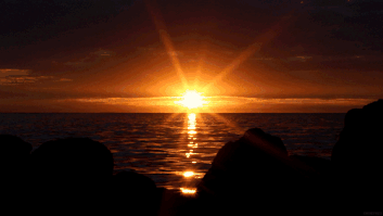 一起飼料企業(yè)勝訴案件引發(fā)的思考