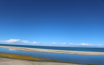 飼料行業應盡快出臺《自行配制飼料使用規范》