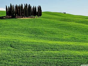 注意科學選用預混料