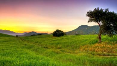 油脂添加設備的使用及維護