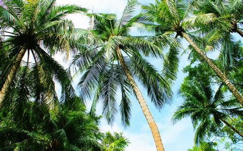 無公害食品 奶牛飼養(yǎng)獸藥使用準(zhǔn)則