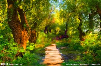 棉籽餅喂豬注意事項