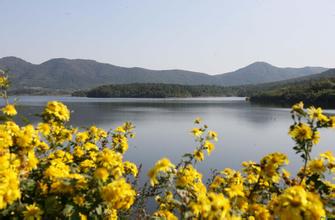 燃情六月 高層碰撞——2010中國畜牧人•企業戰略發展高層論壇今日報到！