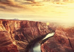 酵母蛋白的真假鑒別方法