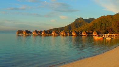 歐盟發(fā)布非食用動物和寵物所用添加劑的評估指南