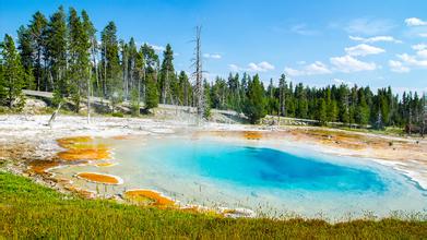 預(yù)混料制作的質(zhì)量控制