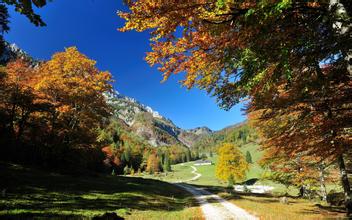 我國飼料粉碎機的現狀與發展分析