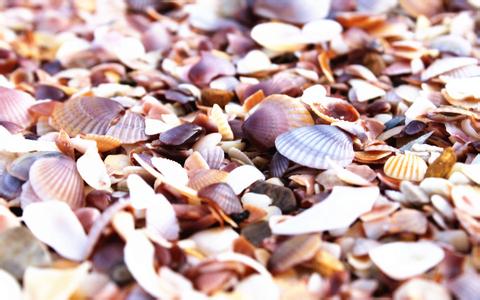 豬臍疝和陰囊疝圖片